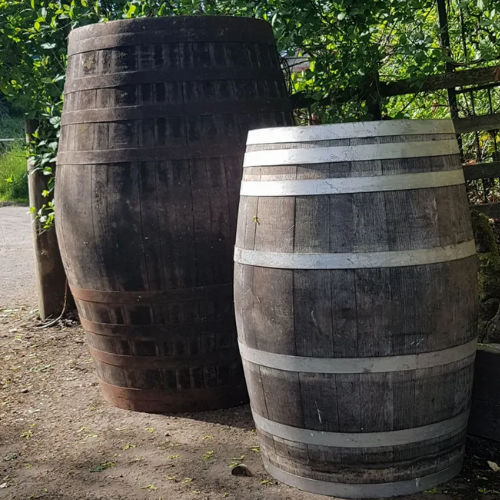 Untitled design (1) 52" High 500L Oak Whisky Butt – Ideal as Water Butt or Ice Bath – Free UK Delivery - Image 1