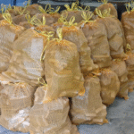 30 x 11kg Bags of Oak Barrel Wood – Free UK Delivery Included