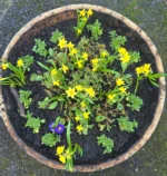 1x Rustic Oak Garden Planter – 33" Width x 13" Height - Image 2